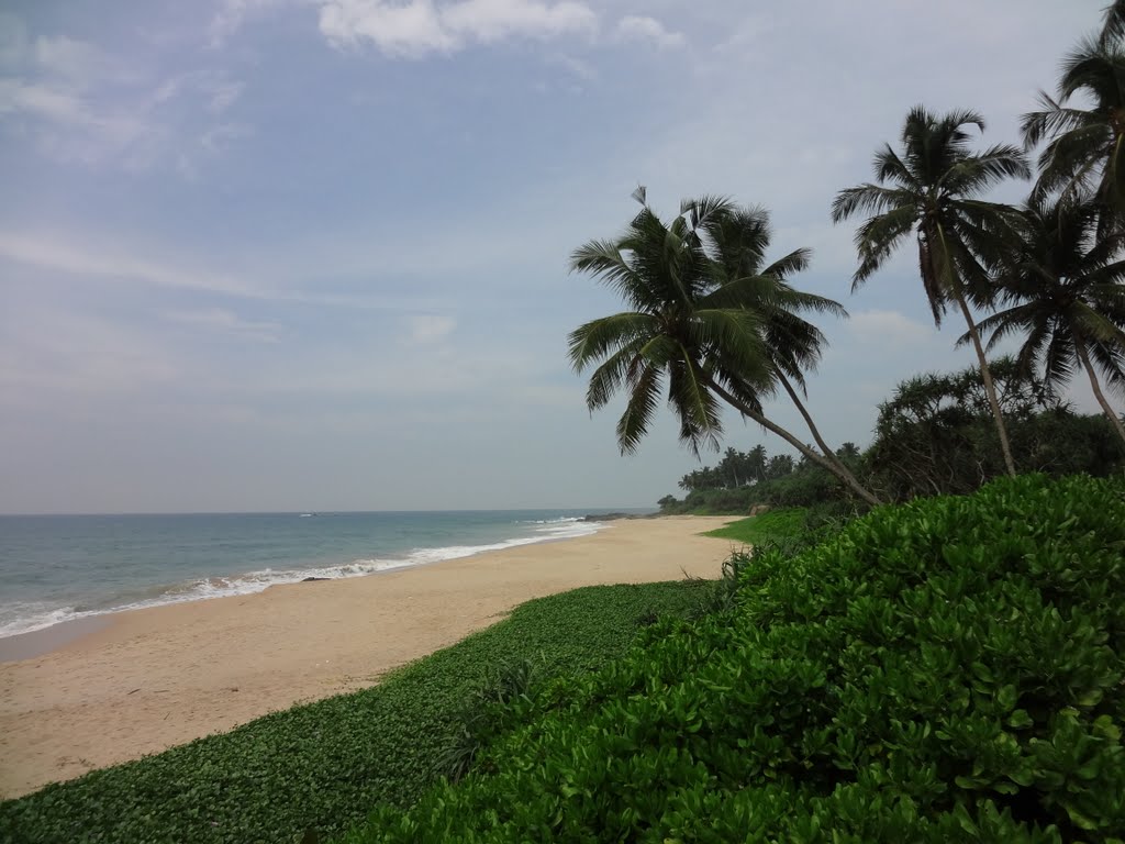 Амбалангода шри. Ambalangoda Шри-Ланка. Балапития Шри Ланка. Пляж Балапития Шри Ланка. Пляж Амбалангода Шри Ланка.